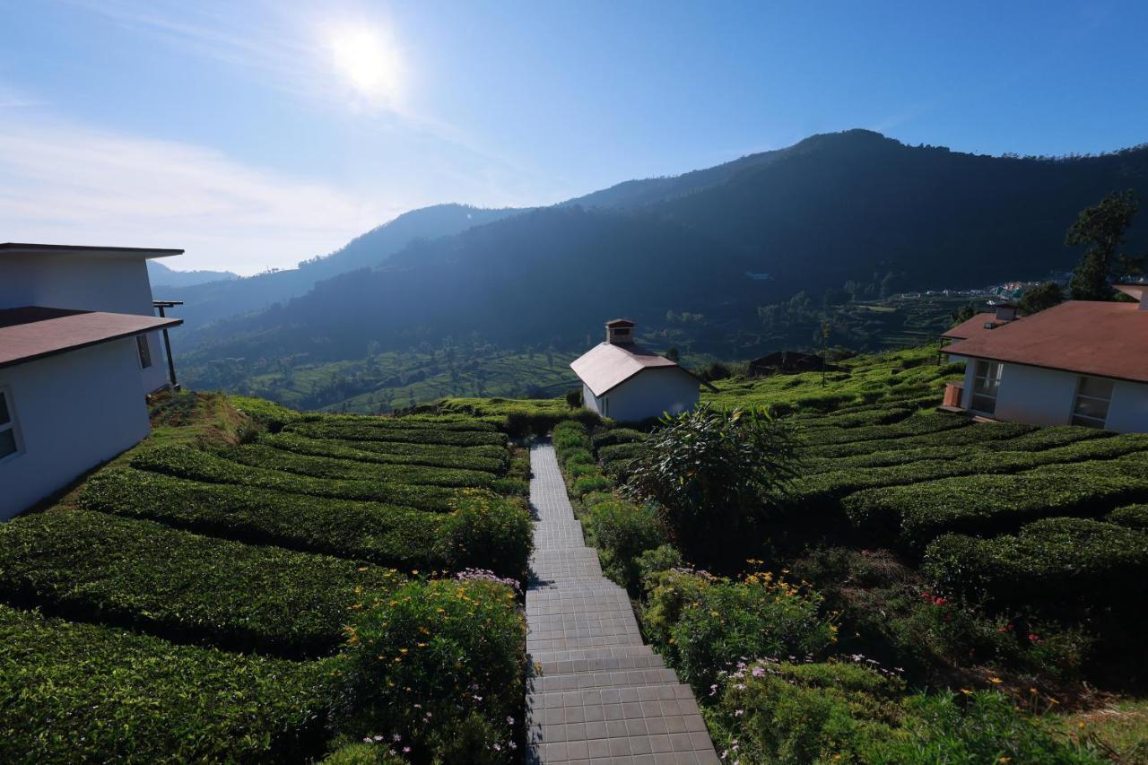 Planters Punch Resort Udagamandalam Exterior foto